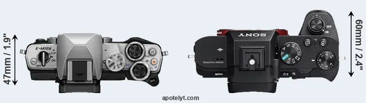 Compare E-M10 II versus A7 II top