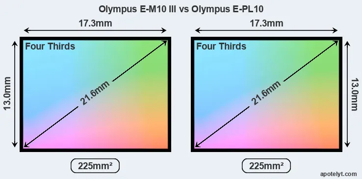 Olympus E-M10 III and Olympus E-PL10 sensor measures