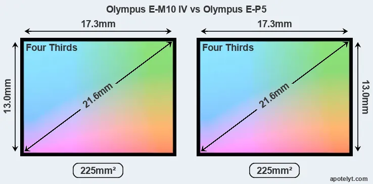 Olympus E-M10 IV and Olympus E-P5 sensor measures