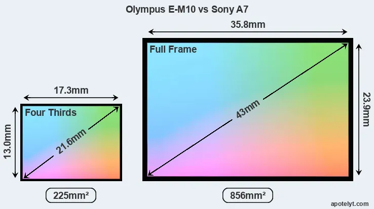 Olympus E-M10 and Sony A7 sensor measures