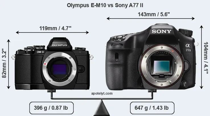 Size Olympus E-M10 vs Sony A77 II