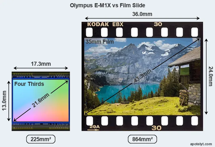Olympus E-M1X and Credit Card sensor measures