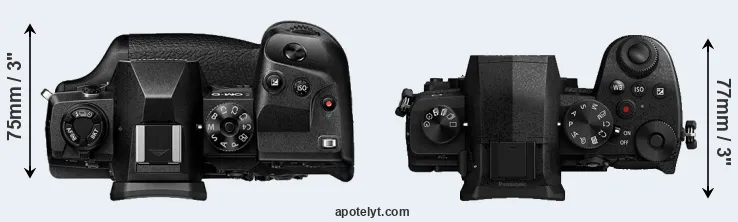 Compare E-M1X versus G90 top