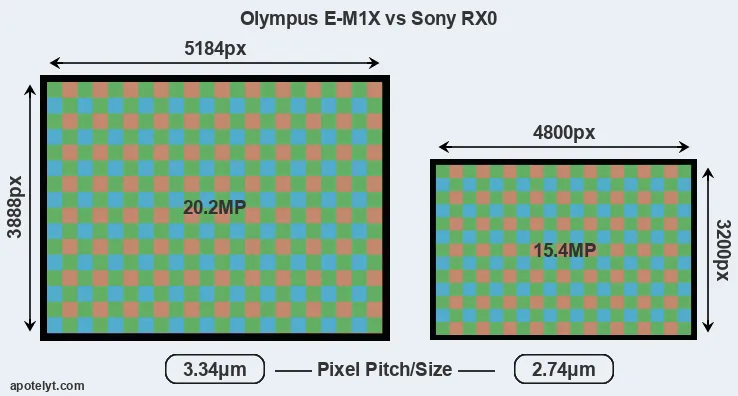 E-M1X versus RX0 MP