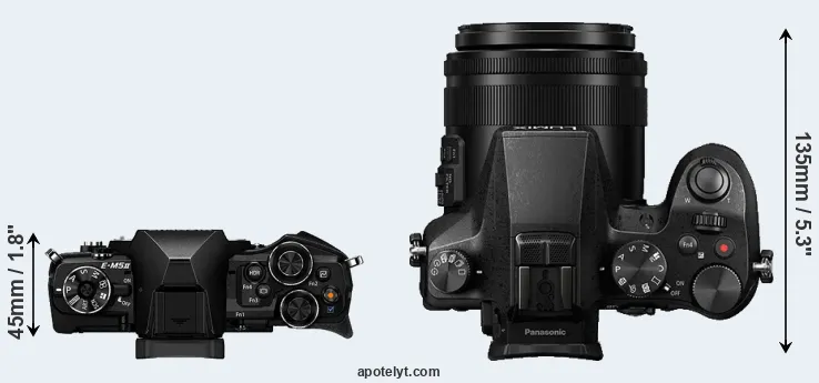 Compare E-M5 II versus FZ2000 top