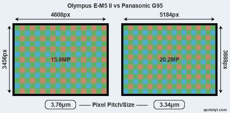 E-M5 II versus G95 MP