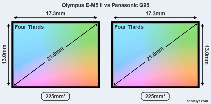 Olympus E-M5 II and Panasonic G95 sensor measures