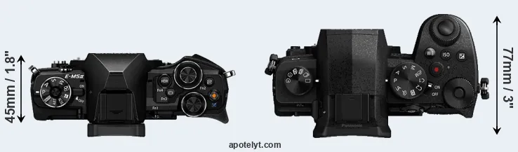 Compare E-M5 II versus G95 top