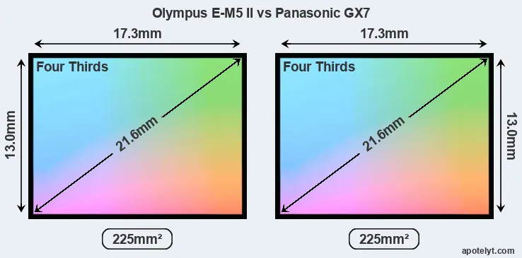 Olympus E-M5 II and Panasonic GX7 sensor measures