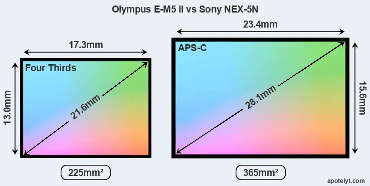 Olympus E-M5 II and Sony NEX-5N sensor measures