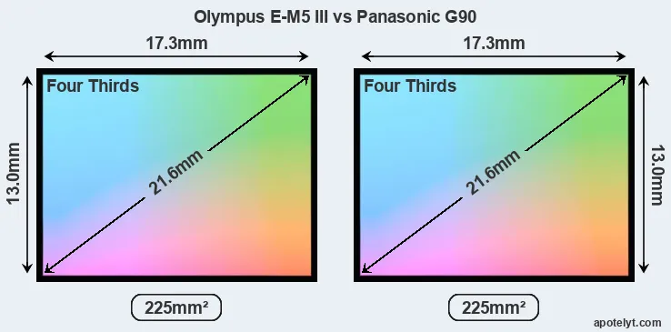 Olympus E-M5 III and Panasonic G90 sensor measures