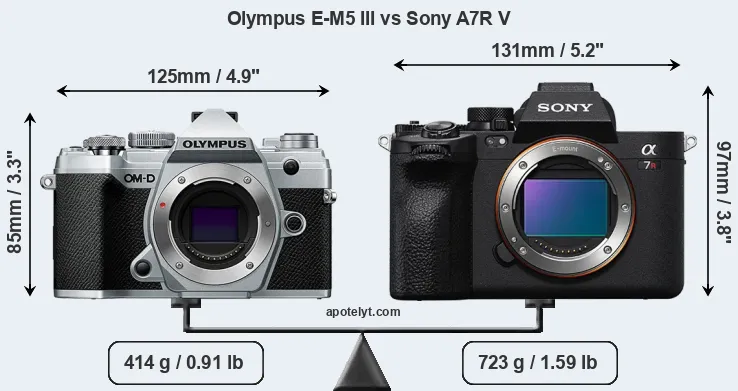 Size Olympus E-M5 III vs Sony A7R V