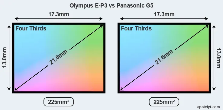 Olympus E-P3 and Panasonic G5 sensor measures