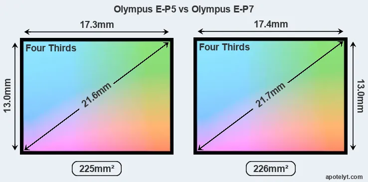 Olympus E-P5 and Olympus E-P7 sensor measures