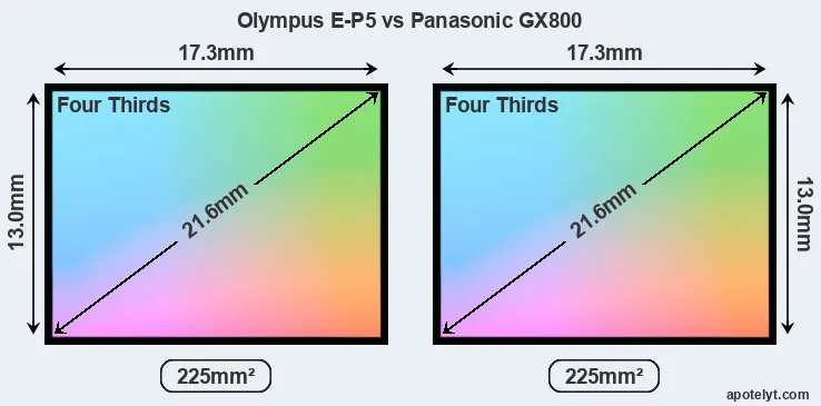 Olympus E-P5 and Panasonic GX800 sensor measures