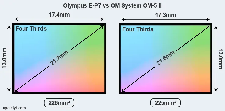 Olympus E-P7 and OM System OM-5 II sensor measures