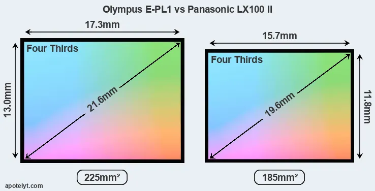 Olympus E-PL1 and Panasonic LX100 II sensor measures
