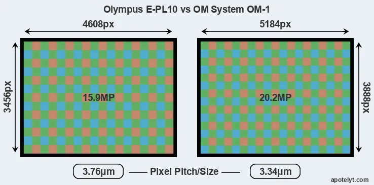 E-PL10 versus OM-1 MP