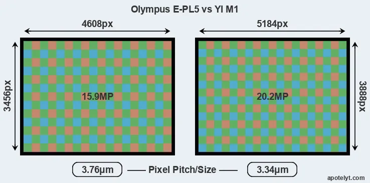 E-PL5 versus M1 MP