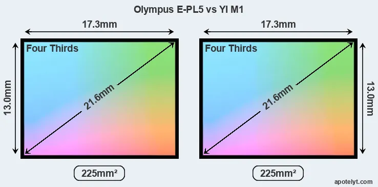 Olympus E-PL5 and YI M1 sensor measures