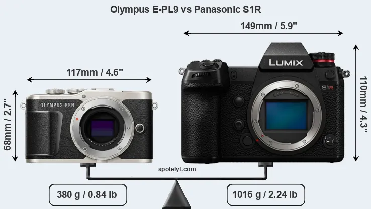 Size Olympus E-PL9 vs Panasonic S1R