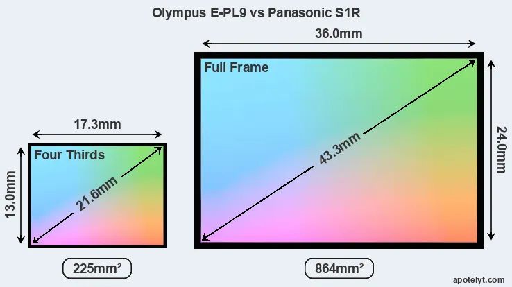 Olympus E-PL9 and Panasonic S1R sensor measures