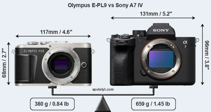 Size Olympus E-PL9 vs Sony A7 IV
