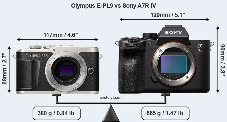Size Olympus E-PL9 vs Sony A7R IV