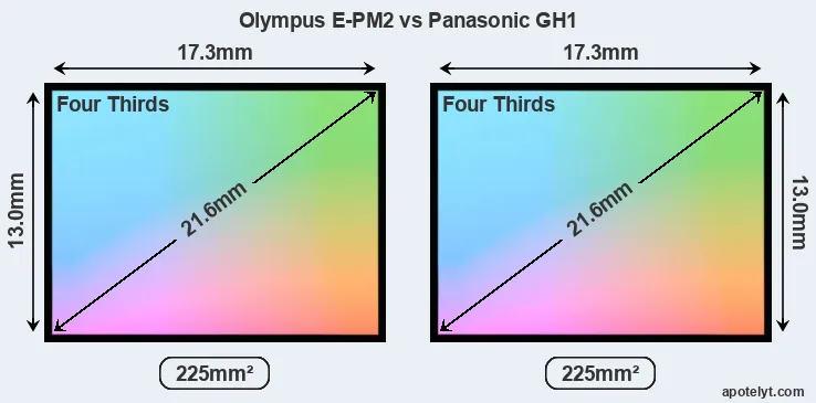 Olympus E-PM2 and Panasonic GH1 sensor measures