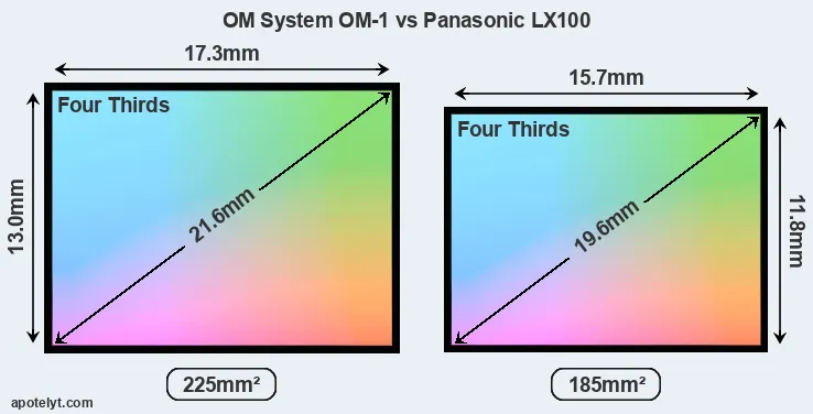 OM System OM-1 and Panasonic LX100 sensor measures