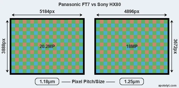 FT7 versus HX80 MP