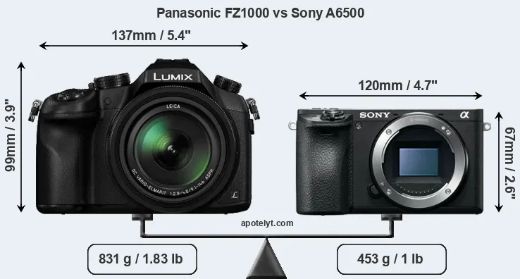Size Panasonic FZ1000 vs Sony A6500