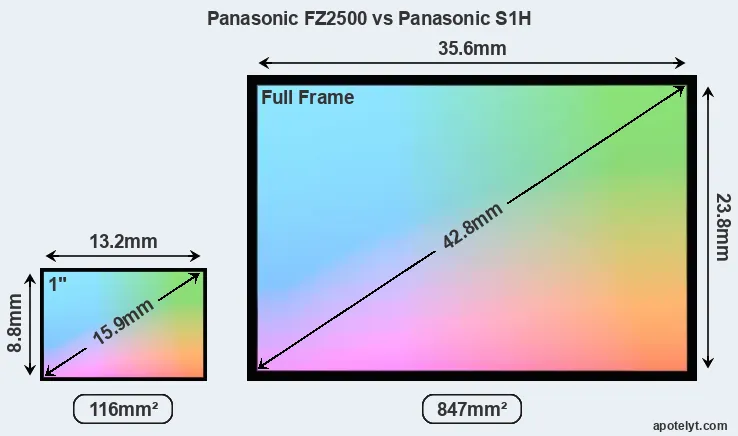 Panasonic FZ2500 and Panasonic S1H sensor measures