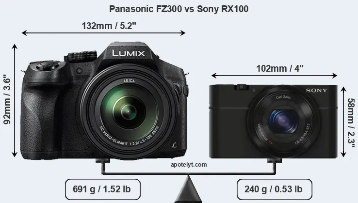 Size Panasonic FZ300 vs Sony RX100
