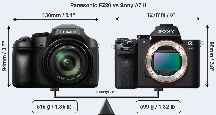 Size Panasonic FZ80 vs Sony A7 II