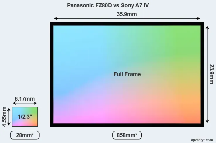 Panasonic FZ80D and Sony A7 IV sensor measures