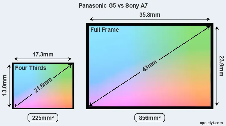 Panasonic G5 and Sony A7 sensor measures