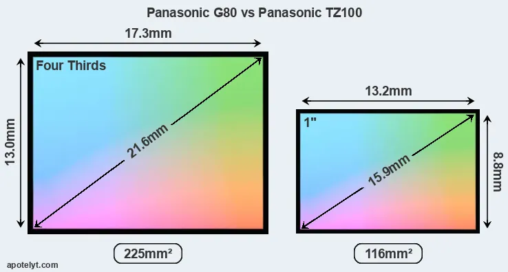 Panasonic G80 and Panasonic TZ100 sensor measures