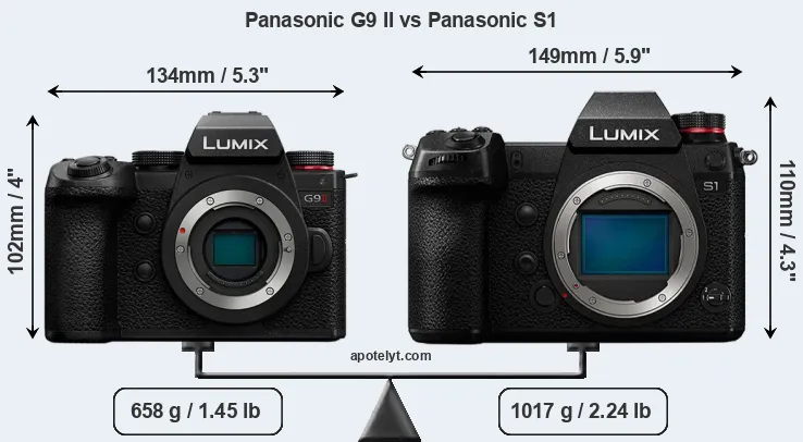 Size Panasonic G9 II vs Panasonic S1