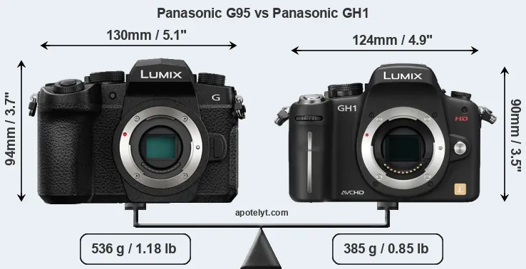 Size Panasonic G95 vs Panasonic GH1