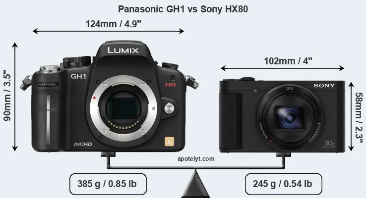 Size Panasonic GH1 vs Sony HX80