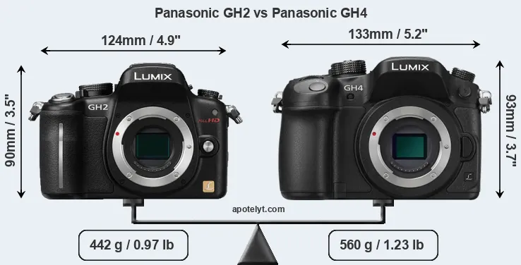 Size Panasonic GH2 vs Panasonic GH4