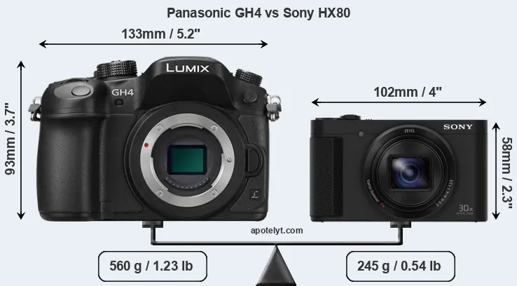 Size Panasonic GH4 vs Sony HX80