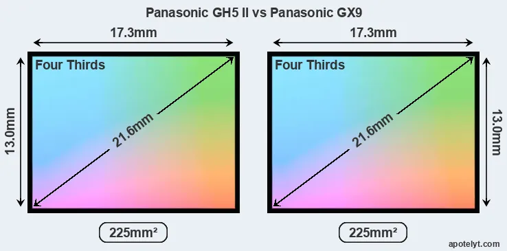 Panasonic GH5 II and Panasonic GX9 sensor measures