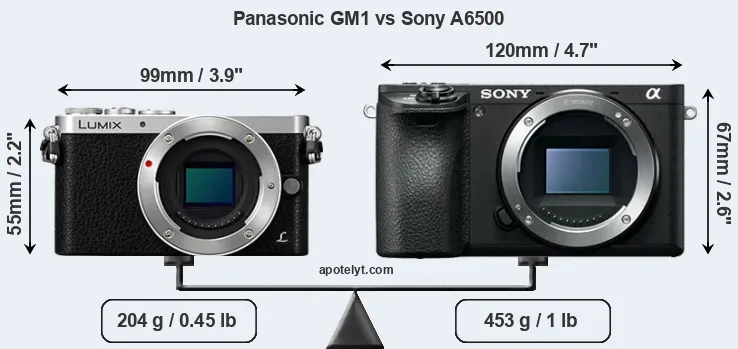 Size Panasonic GM1 vs Sony A6500