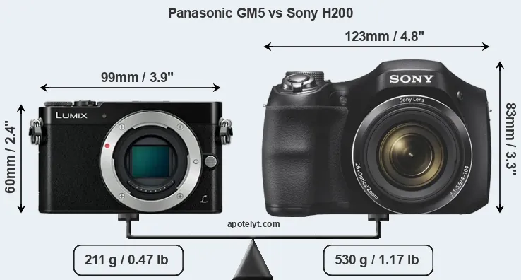 Size Panasonic GM5 vs Sony H200