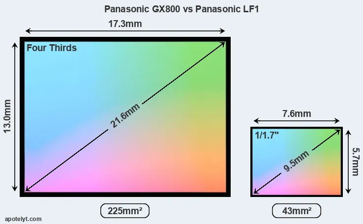 Panasonic GX800 and Panasonic LF1 sensor measures