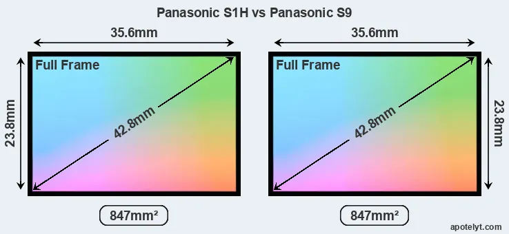 Panasonic S1H and Panasonic S9 sensor measures