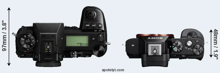 Compare S1R versus A7R top