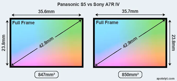 Panasonic S5 and Sony A7R IV sensor measures